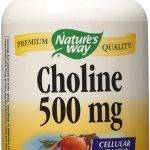Cholin 500mg.,100 tablete