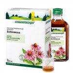 Echinacea 600 ml